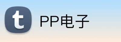 PP电子 logo